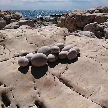 Soldic-razanj * Ražanj