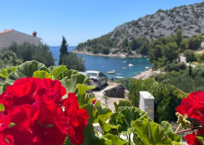 Апартаменты Soldic-razanj *